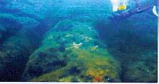Al_largo_di_Malta.2-5d3 IL MITO DI ATLANTIDE