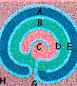 Schema_Atl.-b1d IL MITO DI ATLANTIDE