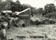 animgoronna-fb2 Le tombe e le Domus de Janas del nord Sardegna