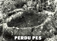 aniperdu2-dcd Le tombe e le Domus de Janas del nord Sardegna