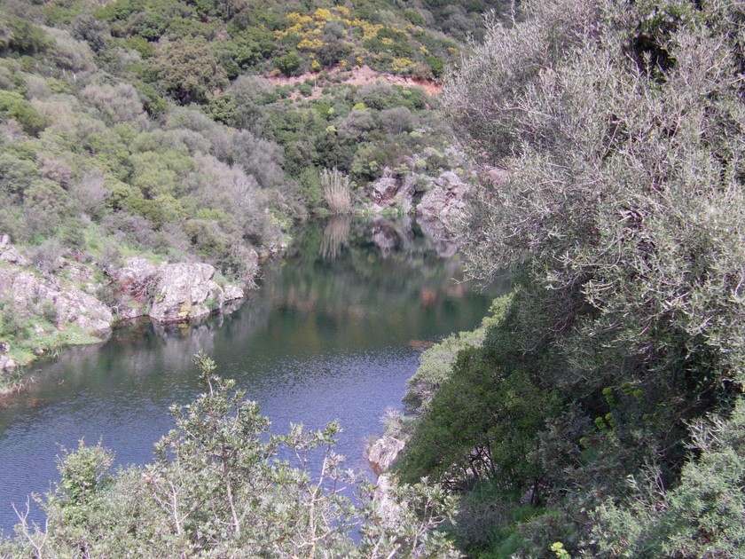 Rio Aletzia