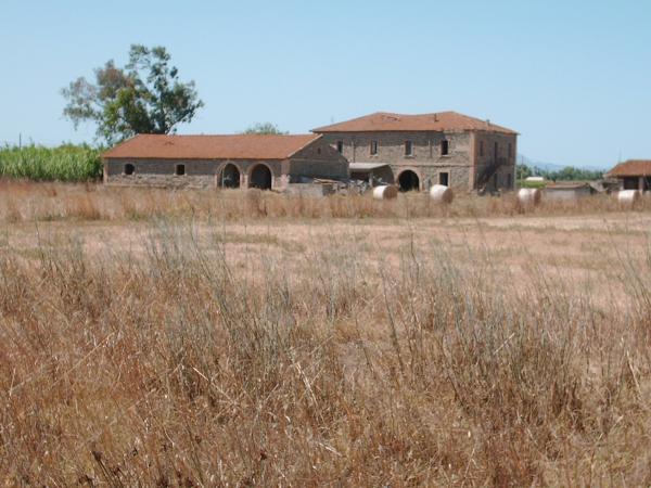 Immagine simbolo
