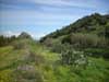 5fovillacidro100-79d La fonderia di Villacidro