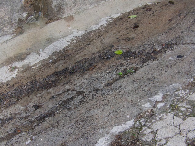 Particolari-della-melma-fuoriuscita-in-strada1-755 Fogna a cielo aperto a Villacidro